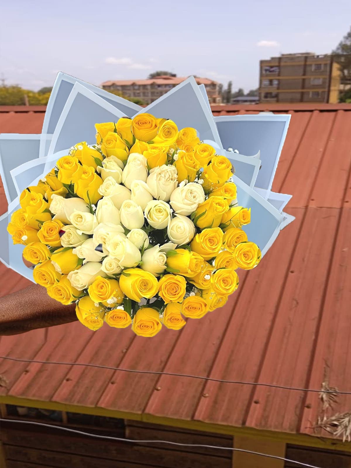 yellow flowers kitengela kenya