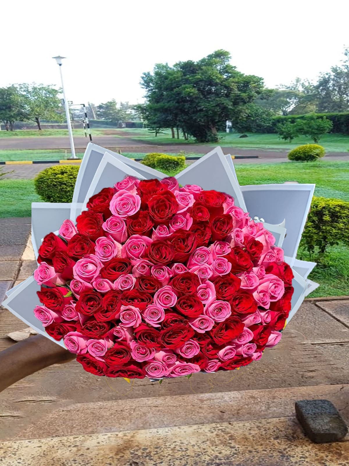 pink red flower nairobi kenya