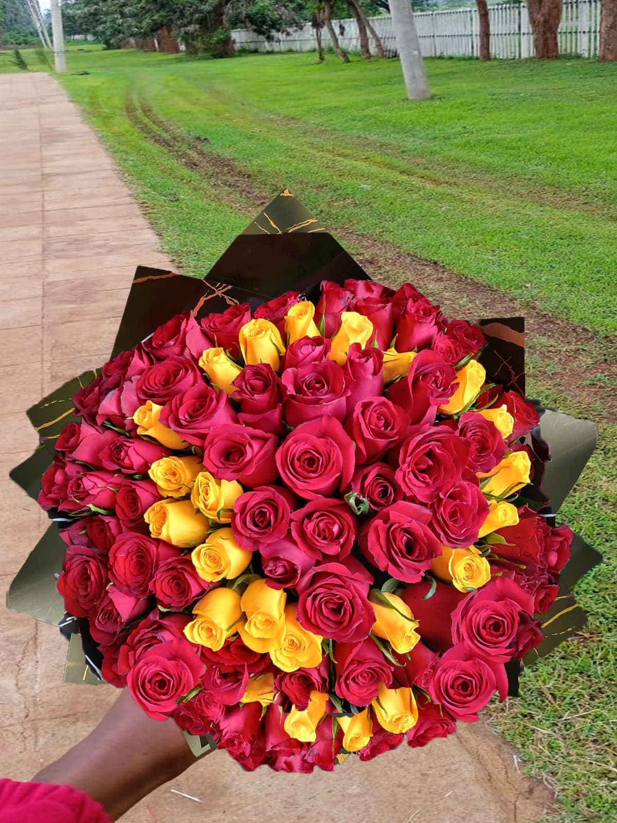 yellow red flowers Nairobi