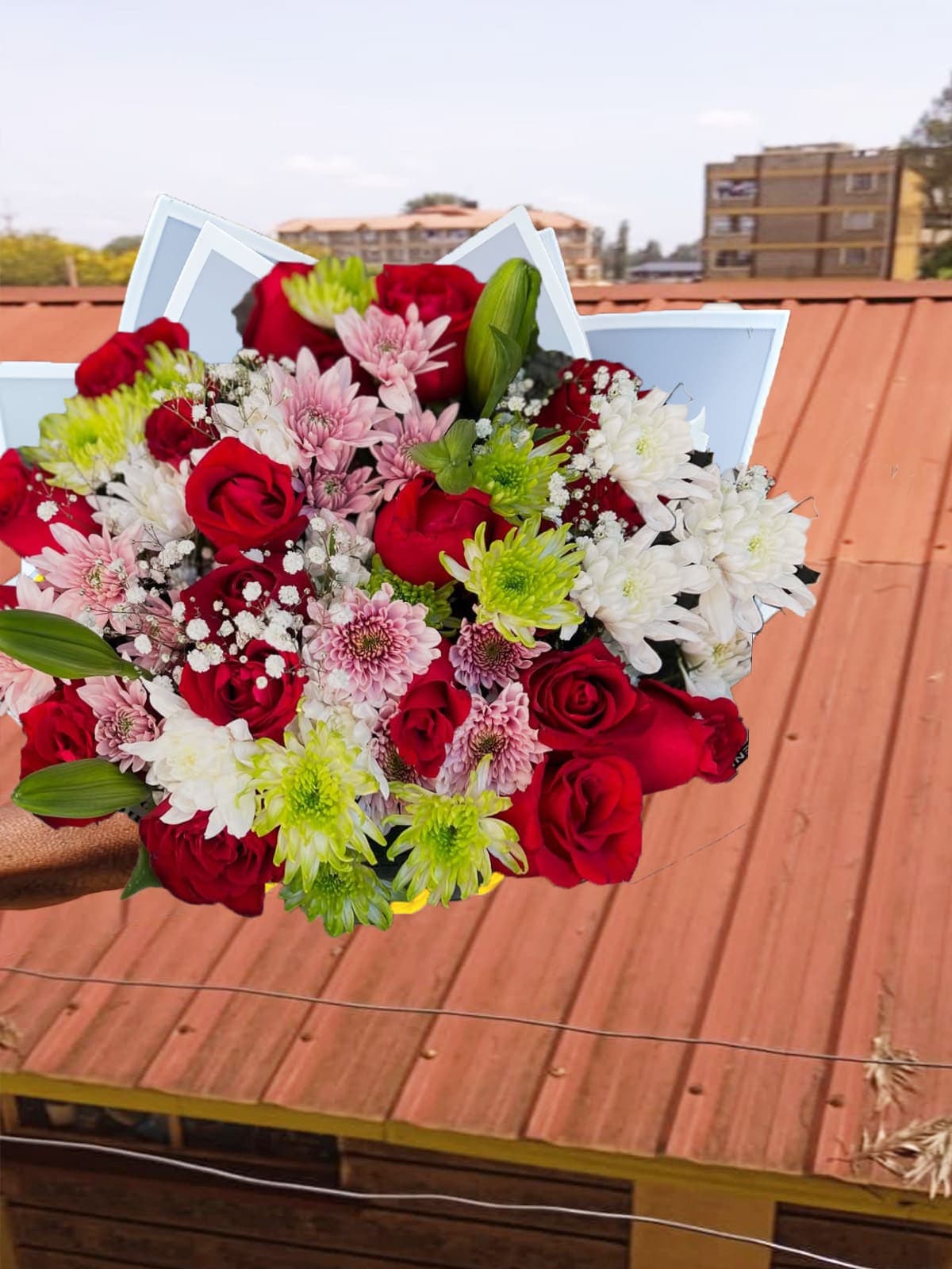 Fluffy flowers nairobi kenya